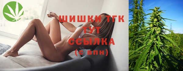 стафф Аркадак