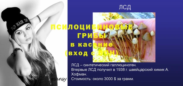 соль ск Армянск