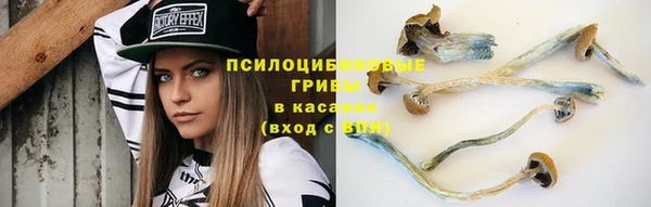 трава Арсеньев