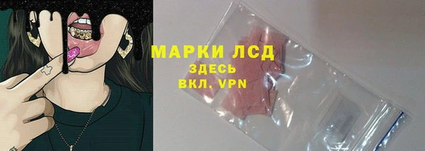 стафф Аркадак