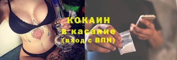 стафф Аркадак