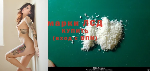 стафф Аркадак