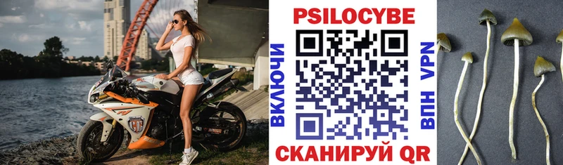 Псилоцибиновые грибы мицелий  Купить закладки  Суджа 