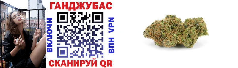 Купить где  Суджа  Бошки марихуана индика 